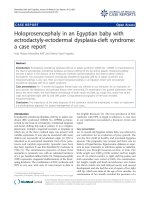 Báo cáo hóa học: 