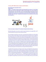 Java hay .NET? Một bài toán nan giải của nhiều Newbie pptx