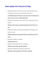 Kinh nghiệm khi trồng lan hồ điệp ppt