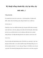 Kỹ thuật trồng chanh dây (cây lạc tiên, cây mác mác...) potx