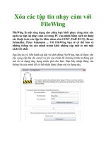 Xóa các tập tin nhạy cảm với FileWing pdf