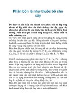 Phân bón lá như thuốc bổ cho cây potx