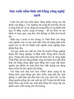 Sản xuất nấm linh chi bằng công nghệ sạch pptx