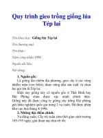 Quy trình gieo trồng giống lúa Tép lai docx