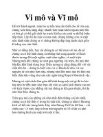 Vi mô và Vĩ mô pot