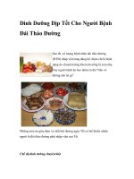 Dinh Dưỡng Dịp Tết Cho Người Bệnh Đái Tháo Đường pdf