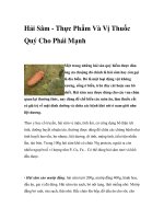 Hải Sâm - Thực Phẩm Và Vị Thuốc Quý Cho Phái Mạnh pdf