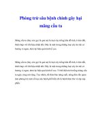 Phòng trừ sâu bệnh chính gây hại mãng cầu ta potx