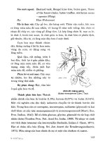 101 cây thuốc với sức khỏe sinh sản phụ nữ part 5 ppt