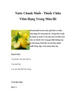 Nước Chanh Muối - Thuốc Chữa Viêm Họng Trong Mùa Hè pdf