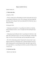 Đăng ký tàu biển Việt Nam (B-BGT-016944-TT) docx