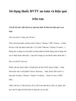 Sử dụng thuốc BVTV an toàn và hiệu quả trên rau potx