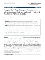 báo cáo hóa học: 