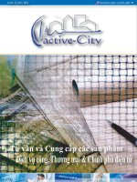 Tư vấn và Cung cấp các sản phẩm Dịch vụ công, Thương mại & Chính phủ điện tử