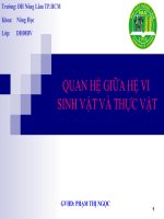 quan he giua vi sinh vat va thuc vat potx