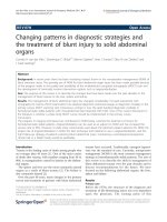 Báo cáo hóa học: 