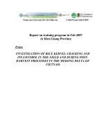 INVESTIGATION OF RICE KERNEL CRACKING AND ITS CONTROL IN THE FIELD AND DURING POST-HARVEST PROCESSES IN THE MEKONG DELTA OF VIETNAM 