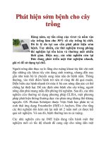 Phát hiện sớm bệnh cho cây trồng pot