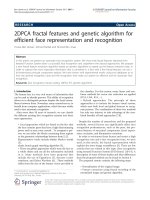 Báo cáo hóa học: 