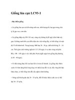 Giống lúa cạn LC93 pot