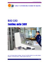 báo cáo thường niên 2011 công ty cổ phần đầu tư điện tây nguyên