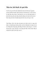 Món ăn, bài thuốc từ quả bầu potx