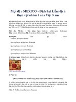 Mọt đậu MEXICO - Dịch hại kiểm dịch thực vật nhóm I của Việt Nam pptx