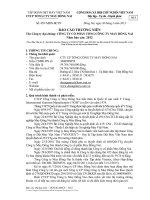 BÁO CÁO THƯỜNG NIÊN Tên Công ty đại chúng: CÔNG TY CỔ PHẦN TỔNG CÔNG TY MAY ĐỒNG NAI Năm báo cáo: 2012