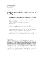 Báo cáo hóa học: 