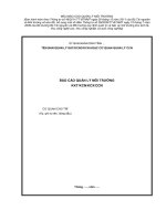 MẪU BÁO CÁO QUẢN LÝ MÔI TRƯỜNG pdf