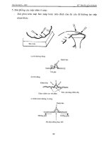 Kỹ thuật gò cơ bản part 8 ppt