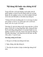 Nội dung bắt buộc của chứng từ kế toán pptx