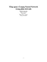 Tổng quan về mạng Neural Network trong phân tích ảnh pdf