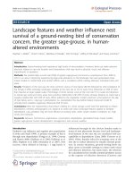 báo cáo hóa học: