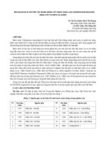 Nghiên cứu khoa học 