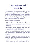 Cách xác định tuổi của trâu docx