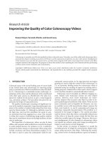 Báo cáo hóa học: 