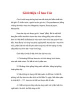 Giới thiệu về hoa Cúc pptx