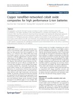 Báo cáo hóa học: 