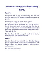 Vai trò của các nguyên tố dinh dưỡng N-P-K ppt