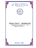 BÁO CÁO TỰ ĐÁNH GIÁ TRONG KIỂM ĐỊNH CHẤT L ƯỢNG GIÁO DỤC ĐẠI HỌC