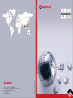 báo cáo thường niên 2011 công ty cổ phần quốc tế sơn hà