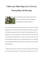 Chiến Lược Nhằm Nâng Cao Uy Tín Của Thương Hiệu Chè Hà Giang doc