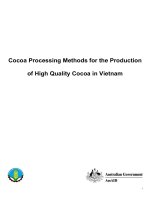 Cocoa Processing Methods for the Production of High Quality Cocoa in Vietnam ppt