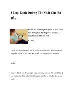 5 Loại Dinh Dưỡng Tốt Nhất Cho Bà Bầu docx