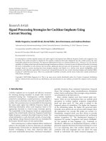 báo cáo hóa học: