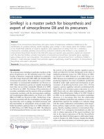 báo cáo hóa học: