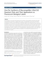 Báo cáo hóa học: 