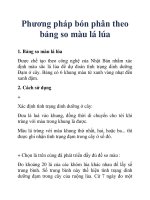 Phương pháp bón phân theo bảng so màu lá lúa potx