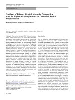 Báo cáo hóa học: 